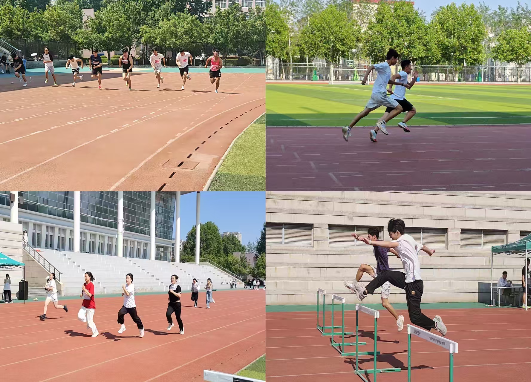 运动会跨栏跑步.jpg